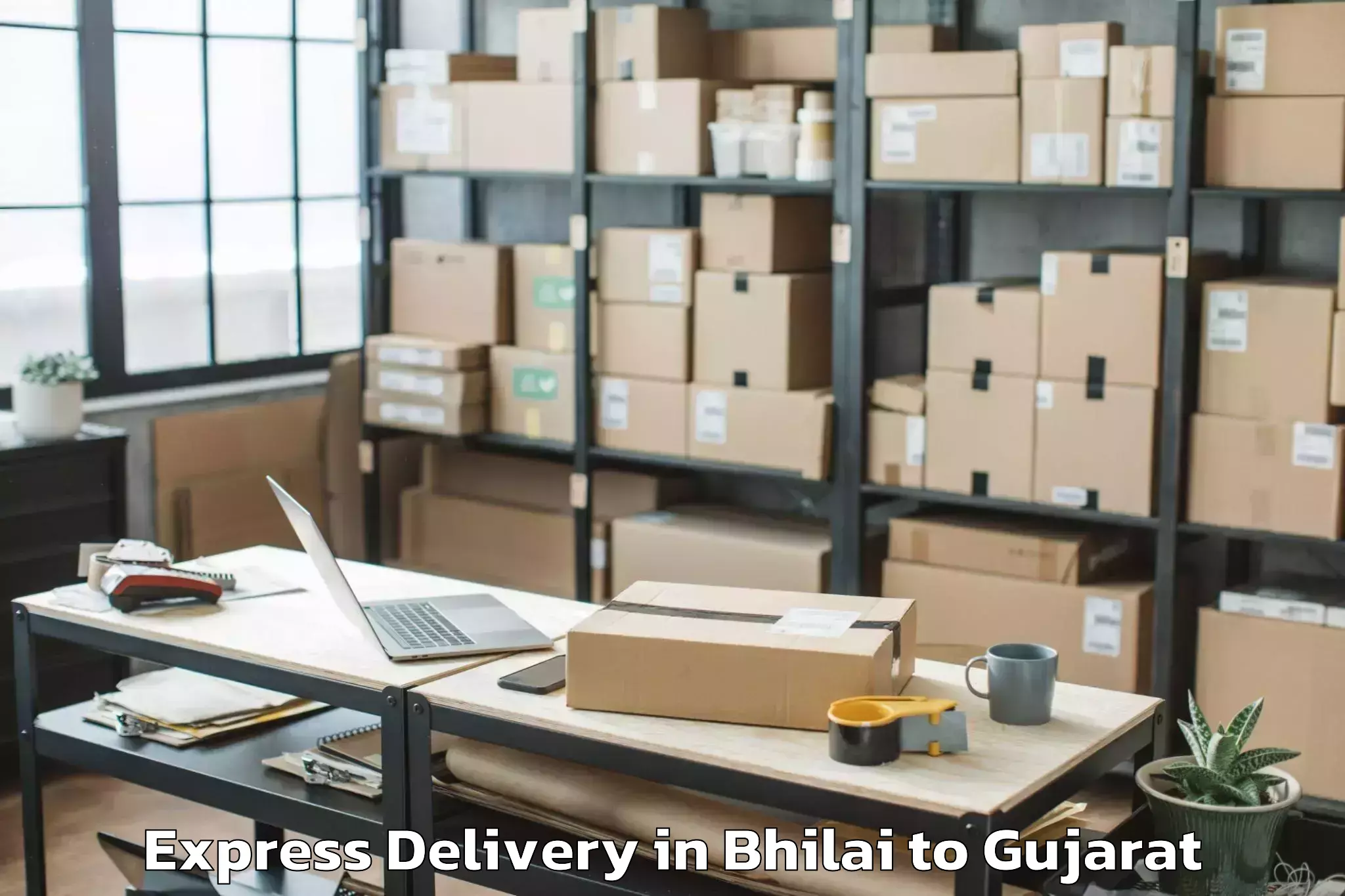 Book Bhilai to Bardoli Express Delivery Online